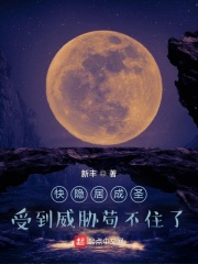 雁北什么意思