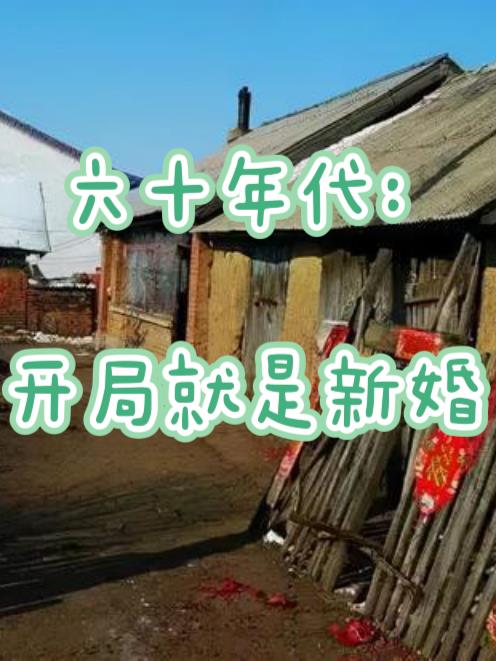 求六十年代的小说