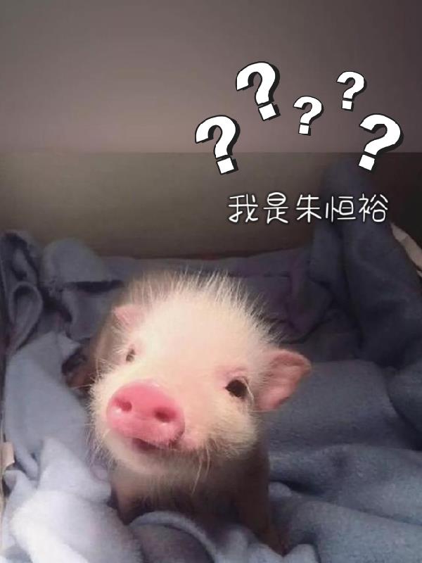 我是朱恒裕免费阅读全文