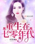 重生回七零年代的小说