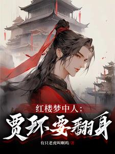 红楼贾环的奋斗生涯