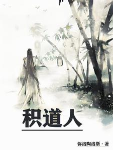 积一小说