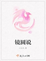 镜什么小说