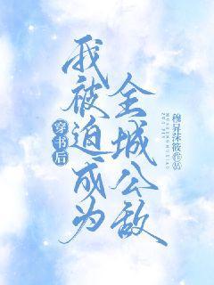 穿书后我被迫成为全城公敌txt小说免费阅读全文