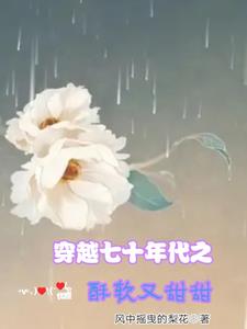穿越七零年代小说
