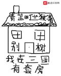 我在三国有把枪