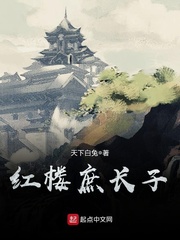 红楼庶长子小说全集免费观看