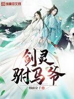 小说剑灵王