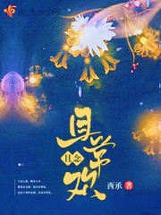 西城小说