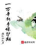 一万年新手保护期小说txt