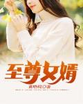 至尊女婿 风水冷