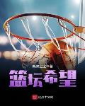 篮坛长篇小说