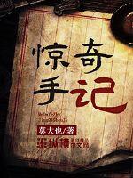 惊奇手札小说