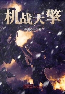机战 t x v