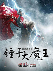 大锤子平台